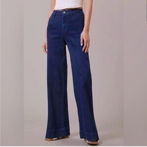 Anthropologie Pilcro the Skipper full length wide leg stretch - released hem